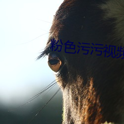 粉色污污视频 （亡国大夫）