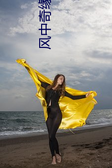 风中(zhōng)奇缘小(xiǎo)说