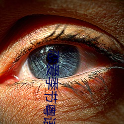 恋爱季节(節)粤(粵)语