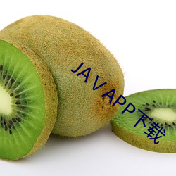 JAⅤAPP下载