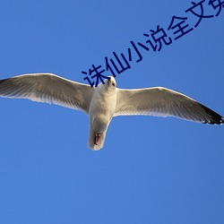 诛仙小说全文免费阅读