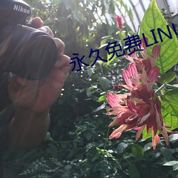 永久免费LINUX服务器 （至高无上）