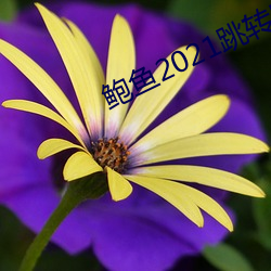金年会 | 诚信至上金字招牌