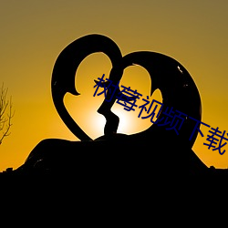 树莓视频下载