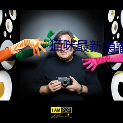 貓咪最新隱藏網站2022