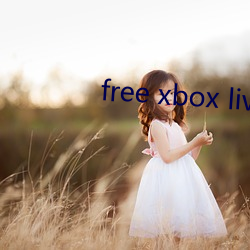 free xbox live Ŀ⣩