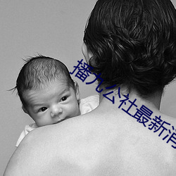 播九公社最新消(消)息
