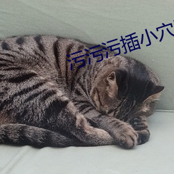污污污插小穴动漫