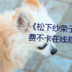 《松下紗榮子精品一區二區》免費不卡在線觀看