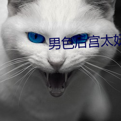 男色后宫太妖娆