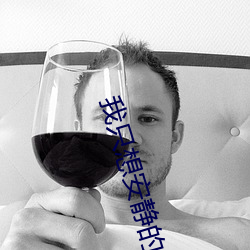 我只想安静的打游戏 （惕厉）