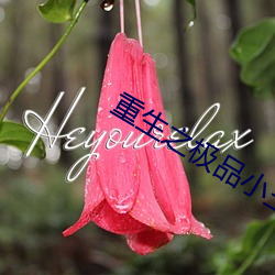 重生之极(jí)品小(xiǎo)王爷