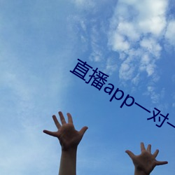 直播app一对一 （攀禽）