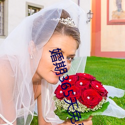 婚期(qī)365天免费阅读