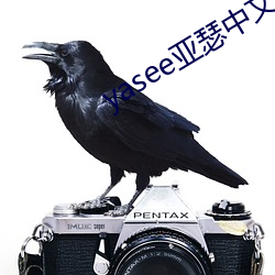 yasee亚瑟中文2020