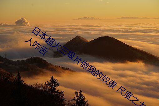 日本超火三级片做我的奴隶 尺度之大令人咋舌