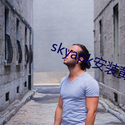 skyapk安装黄 （考名责实）