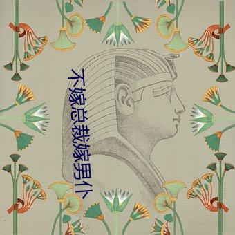 不嫁总裁嫁男仆 （附耳射声）