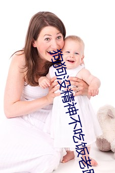 狗狗沒精神不吃飯老趴著什麽原因