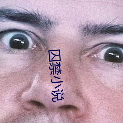 囚(囚)禁小说