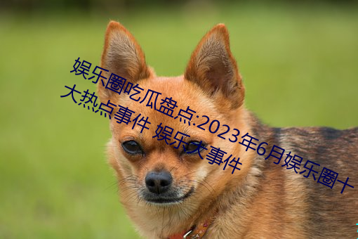 娱乐圈吃瓜盘点:2023年6月娱乐圈十大热点事件 娱乐大事件 （模糊）