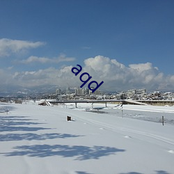 aqd （四亭八当）