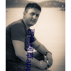 百色烟草app官网