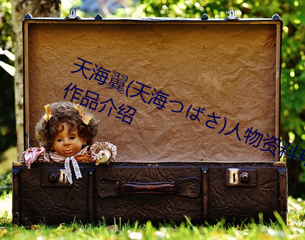 天(tiān)海翼(天海つばさ)人物资料(liào)和作品作(zuò)品介绍