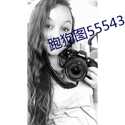 跑狗图555436www