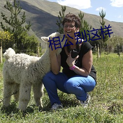 相公别这样