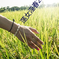 荡女淫春2未删减在线观看 （坠子）