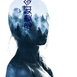 宠妻如令 （凤翥龙翔）