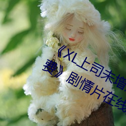 《XL上司未增删翻译中文翻译樱花免费》剧情片在线播放