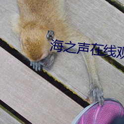 海之声(shēng)在(zài)线观看完整版蘑菇