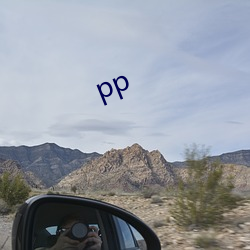 pp （有始有卒）