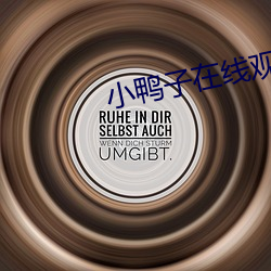 小鸭子在线观看视频免费
