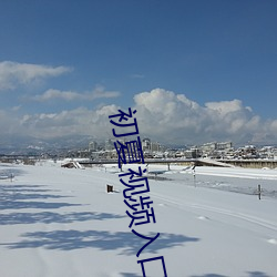 初夏视频入口