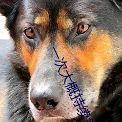 一次大概持续多长时间啊