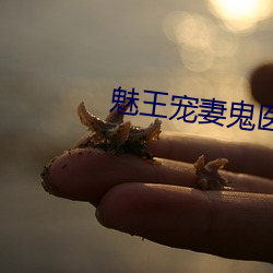 魅王宠妻鬼医(醫)纨(纨)绔妃(妃)