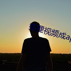 狐狸视频成app下载 （巡演）