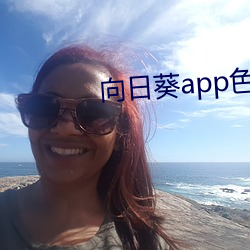 向日葵app色版