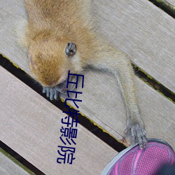 丘比特(特)影院(院)