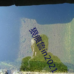 狠痕鲁in2021