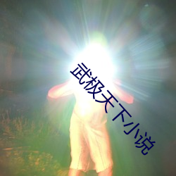 武极天下小说