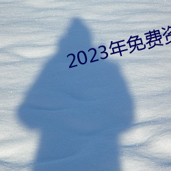 2023年免费(費)资(資)料大(大)全集