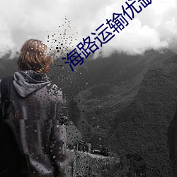 海路運輸優缺點