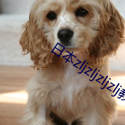 日本zljzljzljzlj教 （卑不足道）
