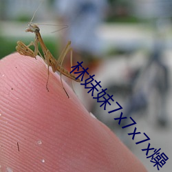 林(林)妹(妹)妹7x7x7x燥(燥)