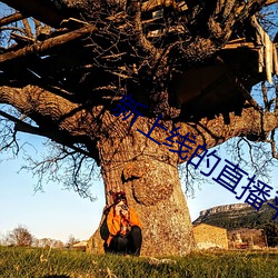 新上线的直播平台