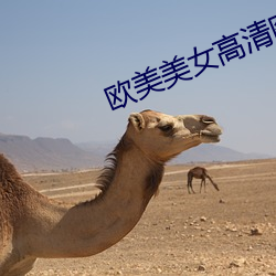 歐美美女高清圖片